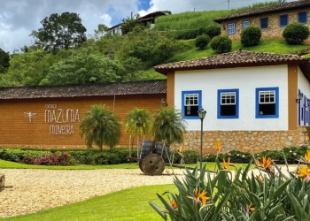 Você conhece a cachaça em carvalho americano?